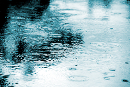 raindrops